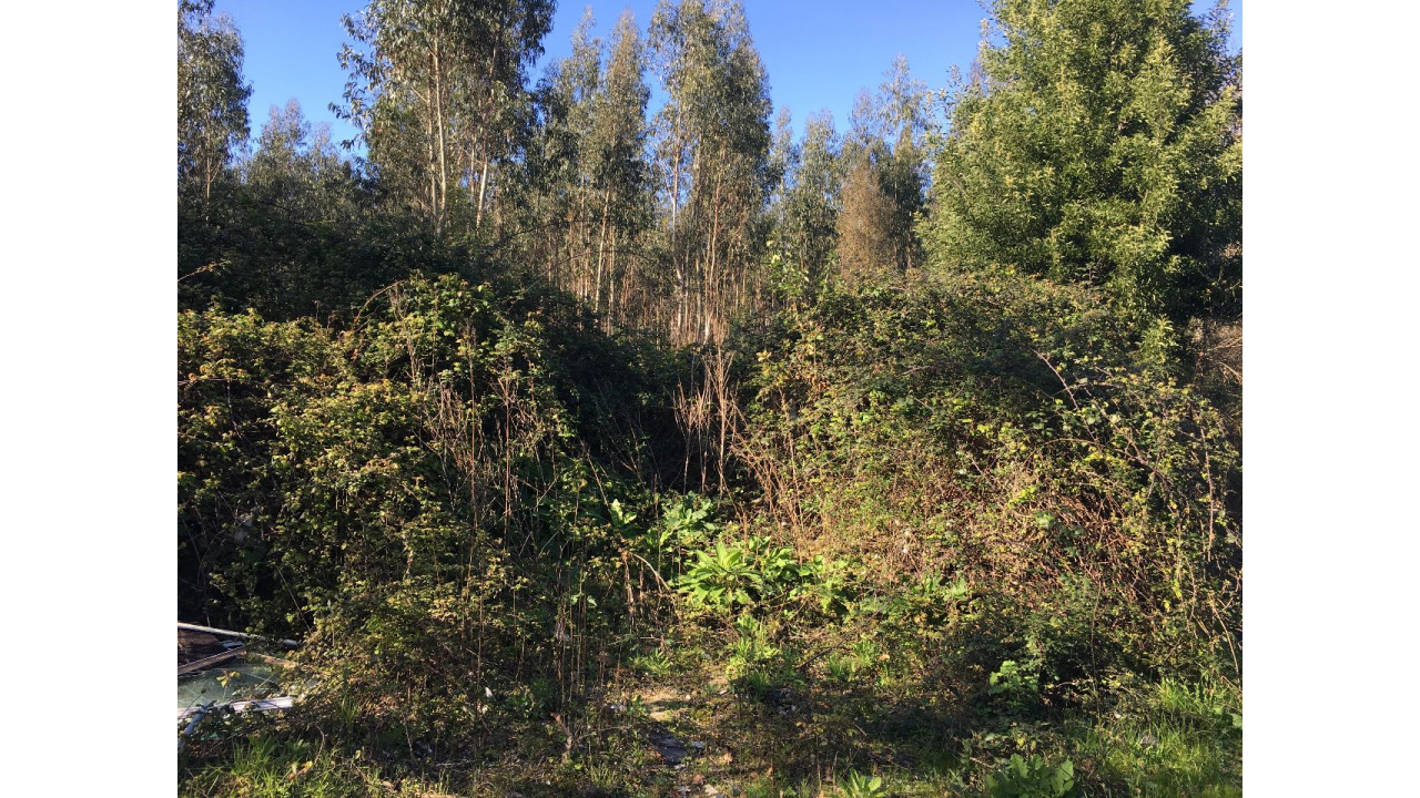 Terreno Misto para Venda em Maia Foto 4