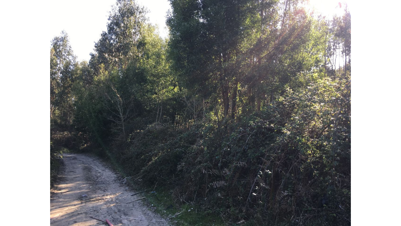 Terreno Misto para Venda em Maia Foto 5