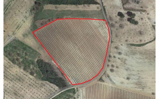 Terreno Misto para Venda em Bragança