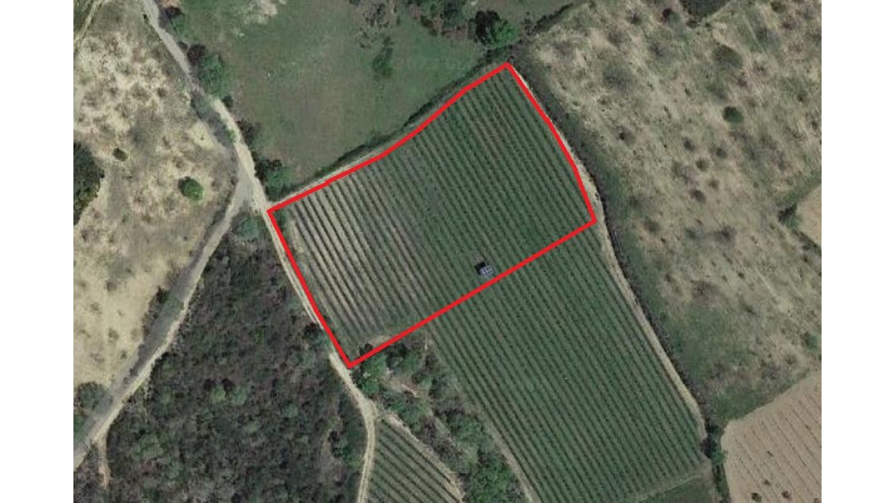 Terreno Misto para Venda em Pinela Foto 1