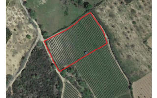 Terreno Misto para Venda em Pinela