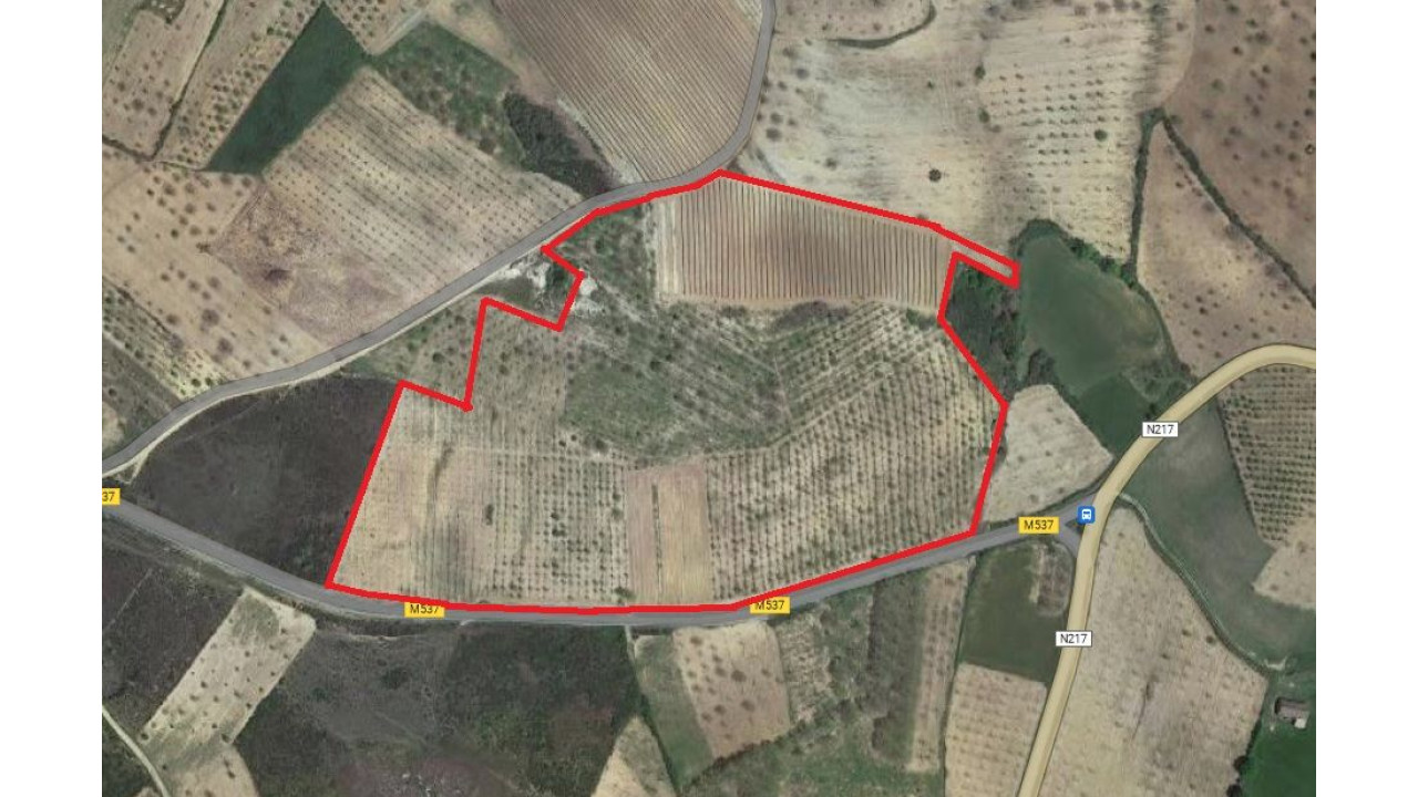 Terreno Misto para Venda em Pinela