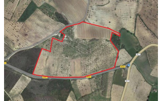 Terreno Misto para Venda em Pinela