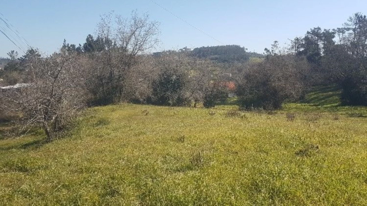 Terreno P/ Moradia para Venda em Covão da Silva Foto 5