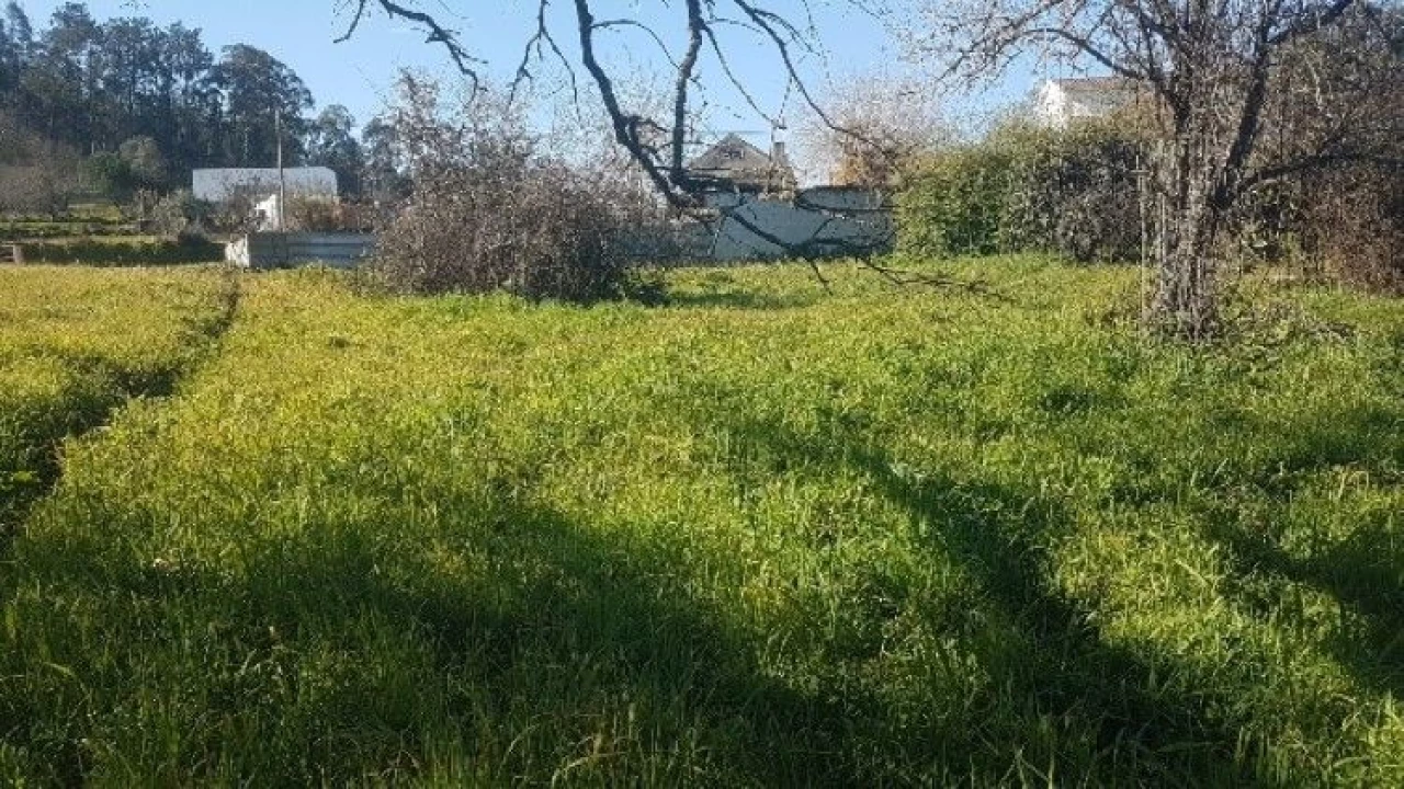 Terreno P/ Moradia para Venda em Covão da Silva Foto 7