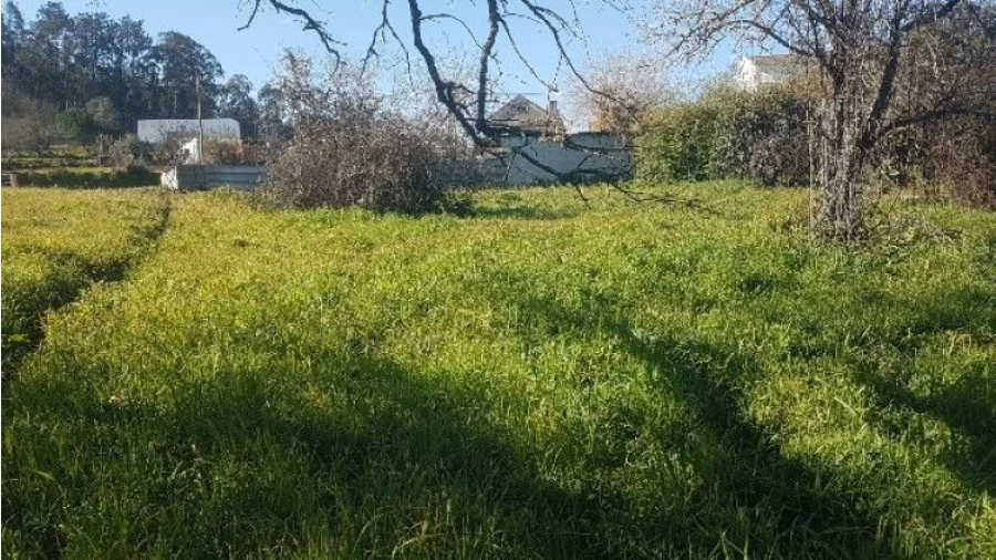 Terreno P/ Moradia para Venda em Covão da Silva Foto 7