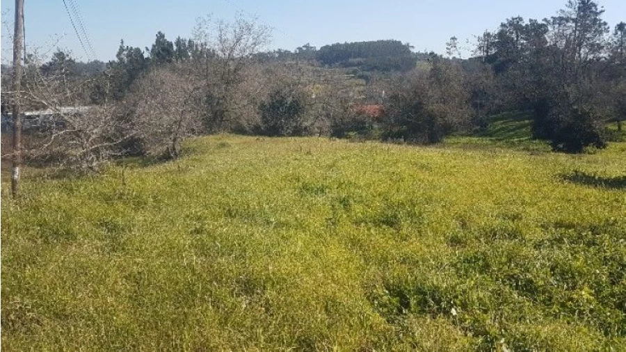 Terreno P/ Moradia para Venda em Covão da Silva Foto 8