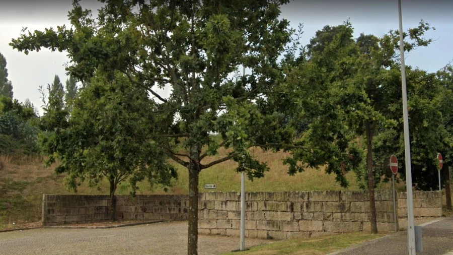 Terreno P/ Prédio para Venda em Maia Foto 2