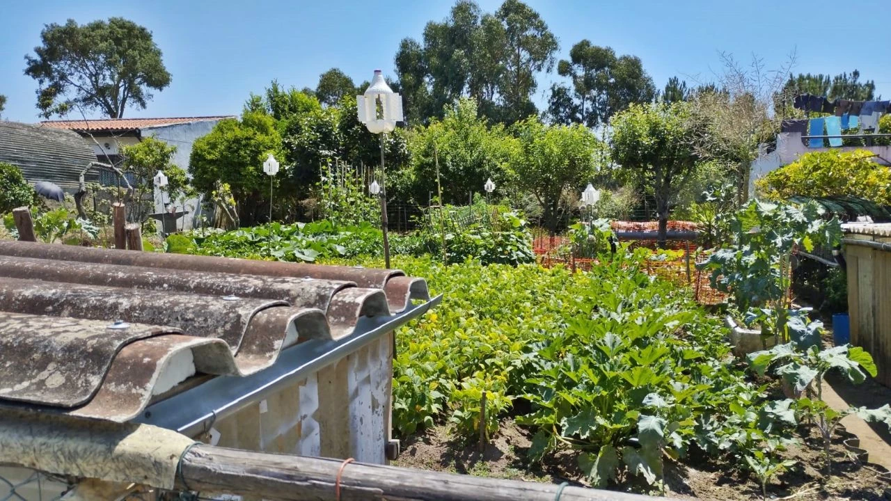 Terreno para Venda em Perafita Foto 6