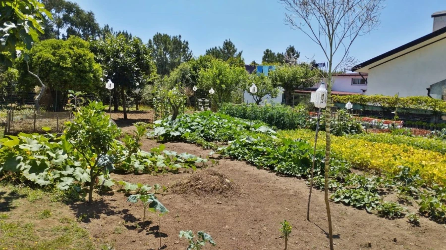 Terreno para Venda em Perafita Foto 1
