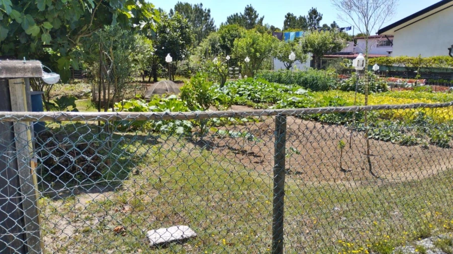 Terreno para Venda em Perafita Foto 2