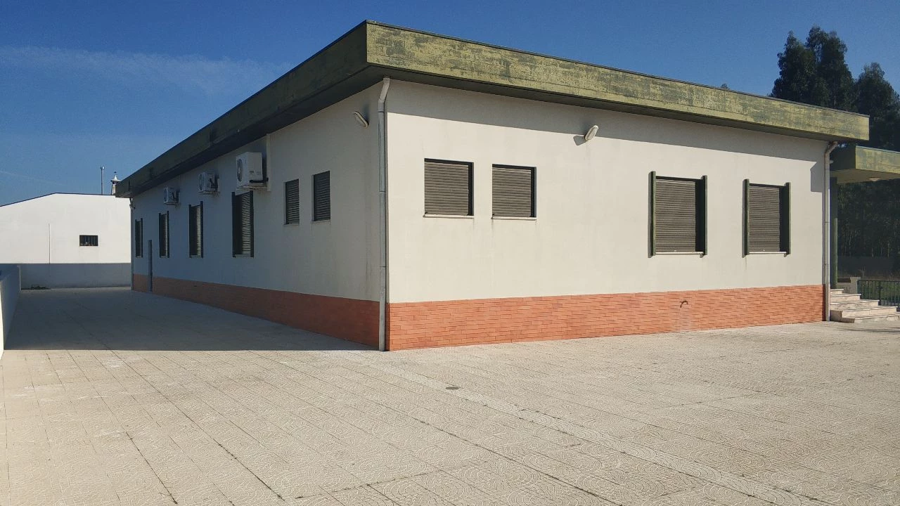 Armazém para Venda em Borralha Foto 12