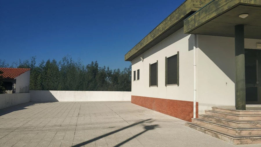 Armazém para Venda em Borralha Foto 11