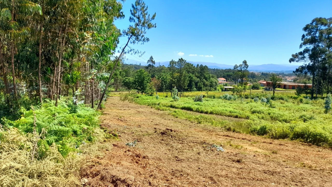 Terreno Misto para Venda em Cervães Foto 1
