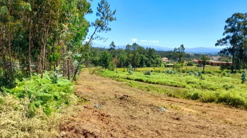 Terreno Misto para Venda em Cervães