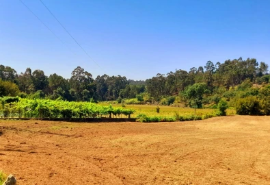 Terreno para Venda em Cervães