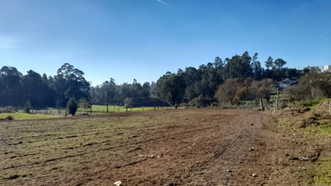 Terreno para Venda em Cervães