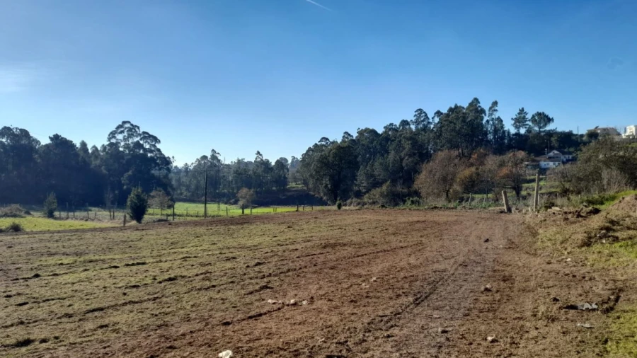 Terreno para Venda em Cervães