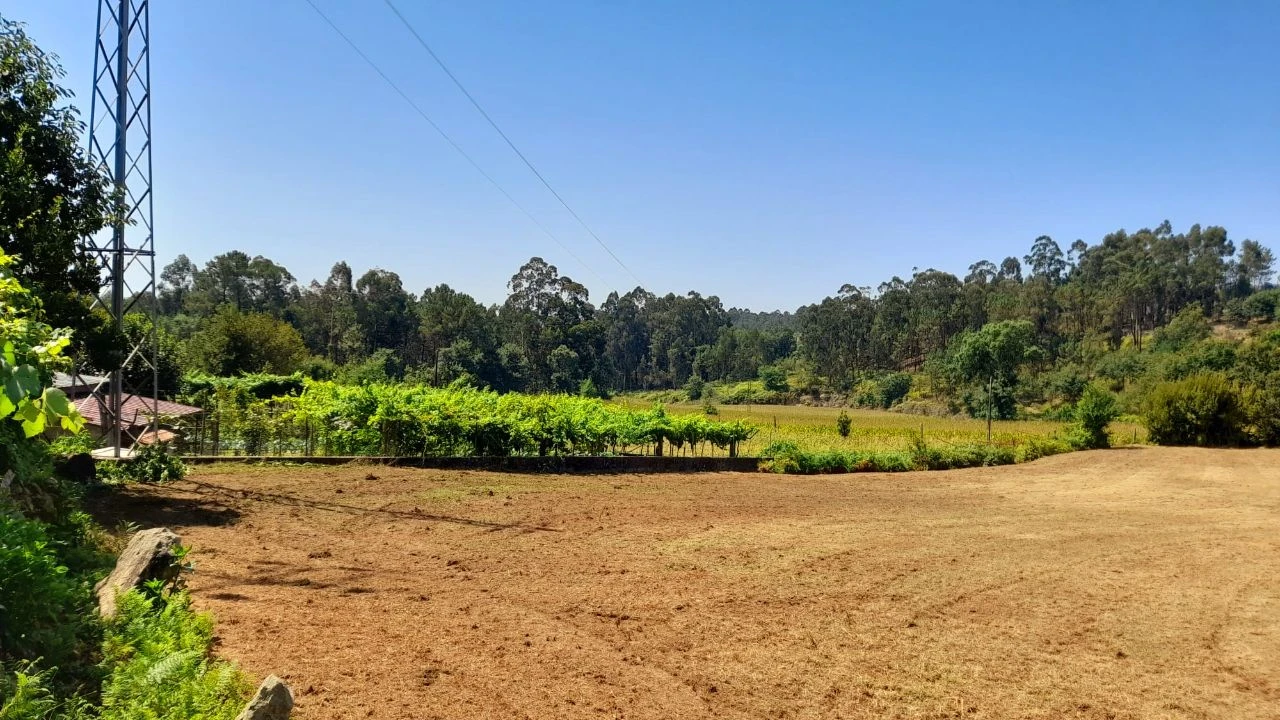 Terreno P/ Prédio para Venda em Cervães Foto 1