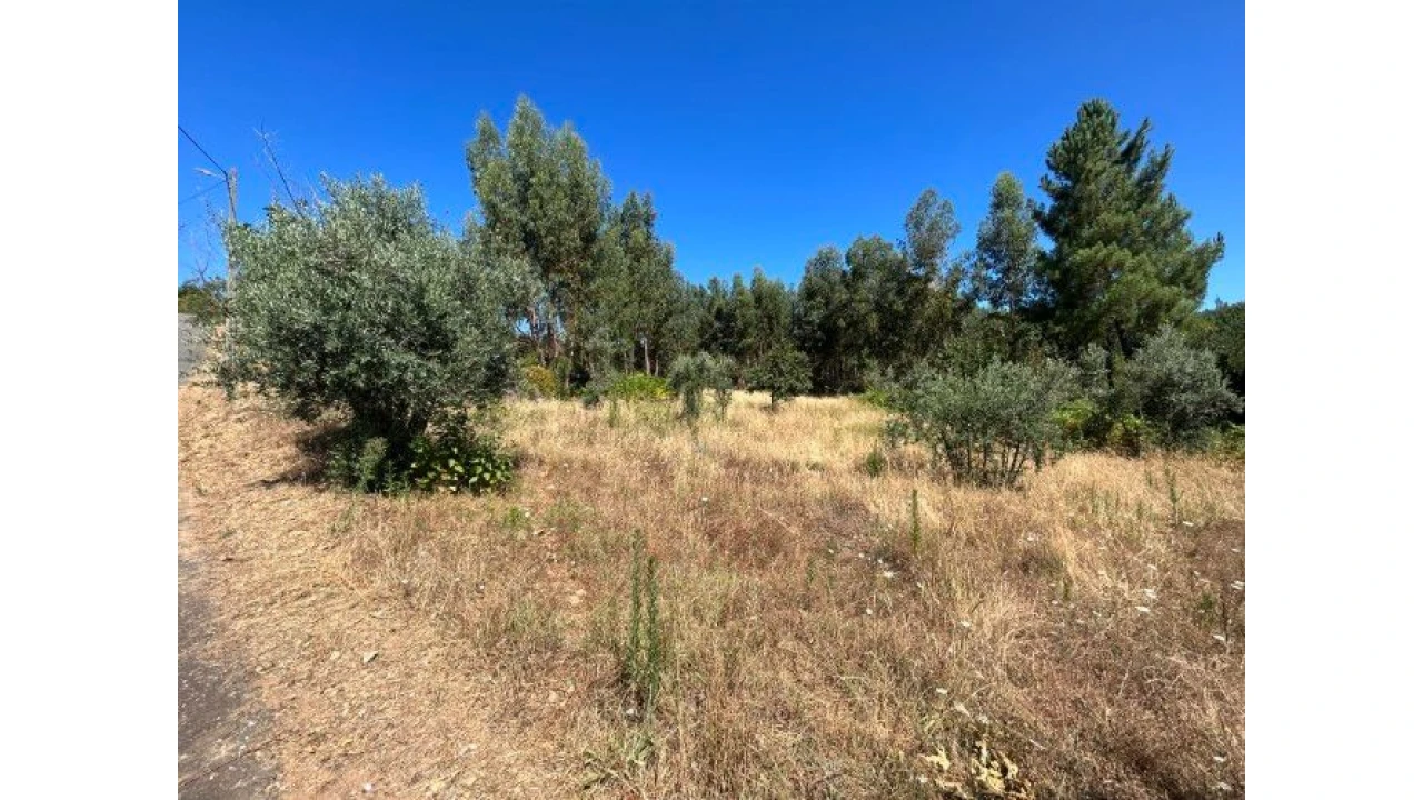 Terreno Misto para Venda em Portela do Fojo-Machio Foto 9