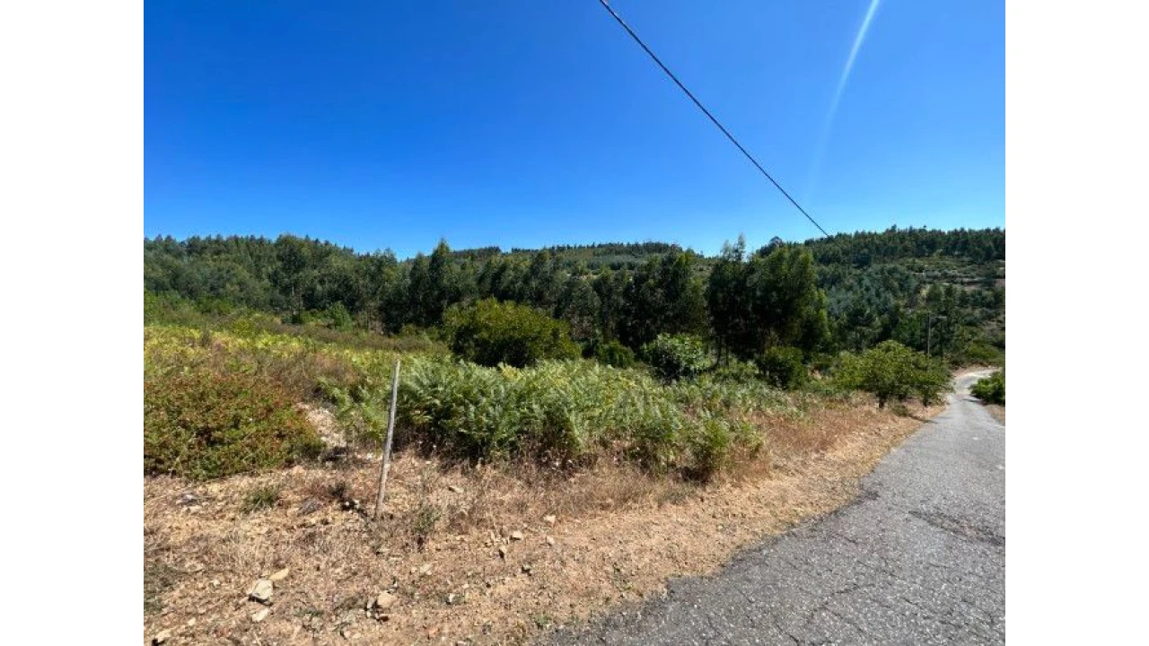 Terreno Misto para Venda em Portela do Fojo-Machio Foto 12