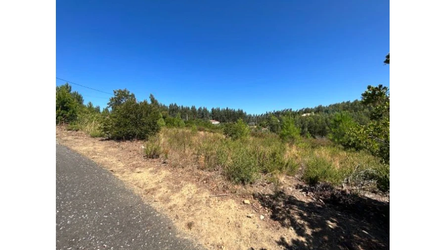 Terreno Misto para Venda em Portela do Fojo-Machio Foto 13