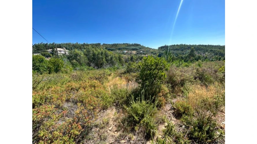 Terreno Misto para Venda em Portela do Fojo-Machio Foto 7