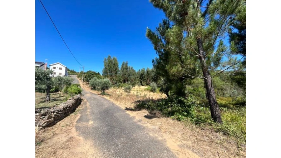 Terreno Misto para Venda em Portela do Fojo-Machio Foto 8