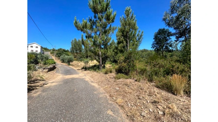 Terreno Misto para Venda em Portela do Fojo-Machio Foto 10