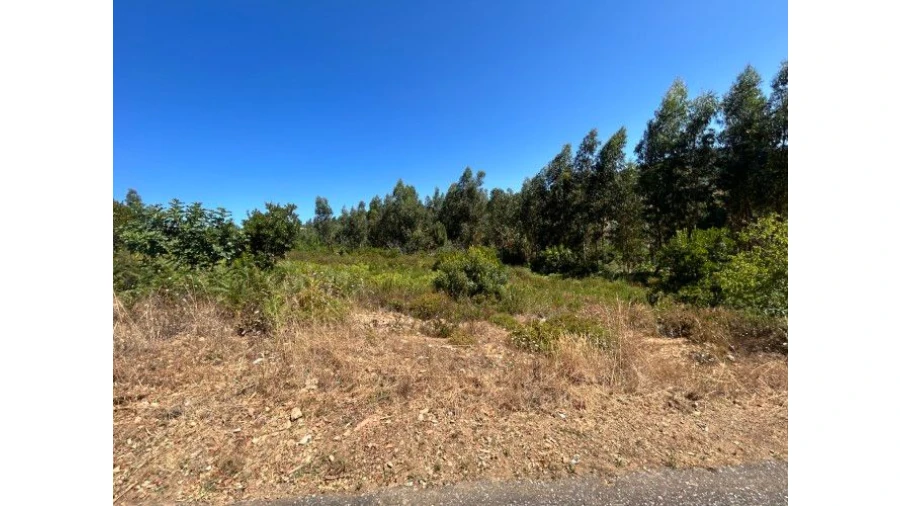 Terreno Misto para Venda em Portela do Fojo-Machio Foto 14