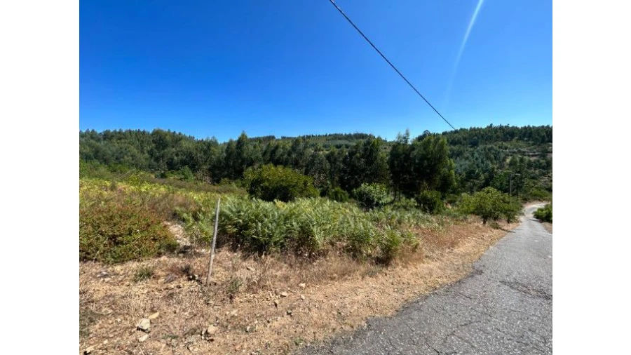 Terreno Misto para Venda em Portela do Fojo-Machio Foto 12
