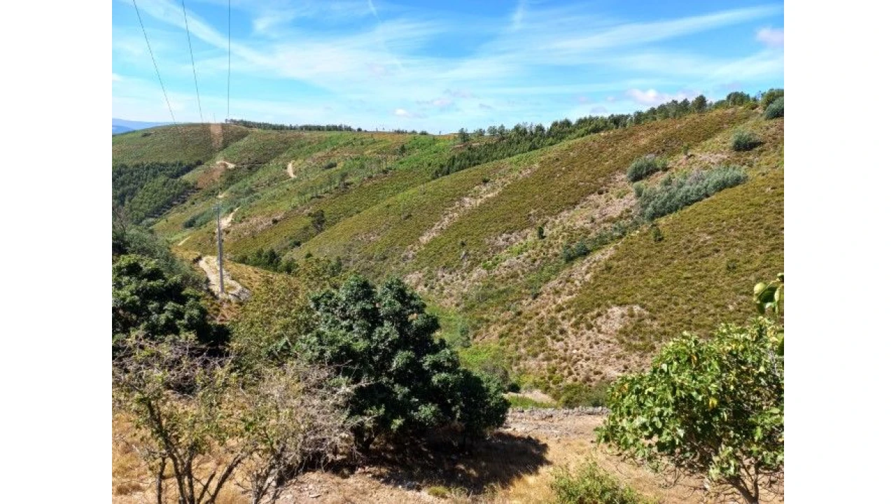 Moradia T6 para Venda em Catraia Farropo Foto 46