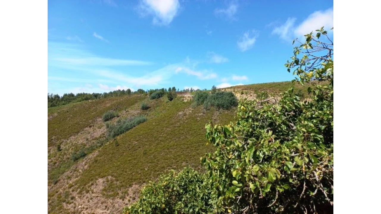 Moradia T6 para Venda em Catraia Farropo Foto 44