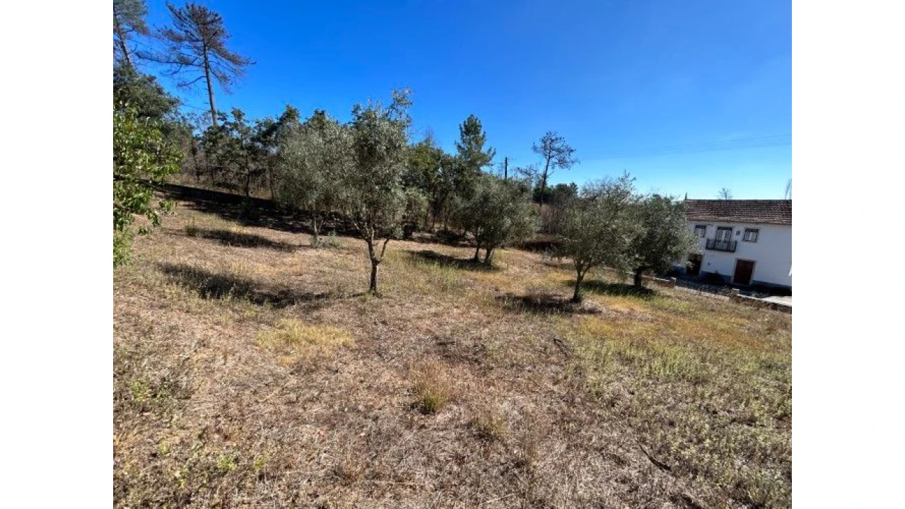 Moradia T4 para Venda em Abiul Foto 29