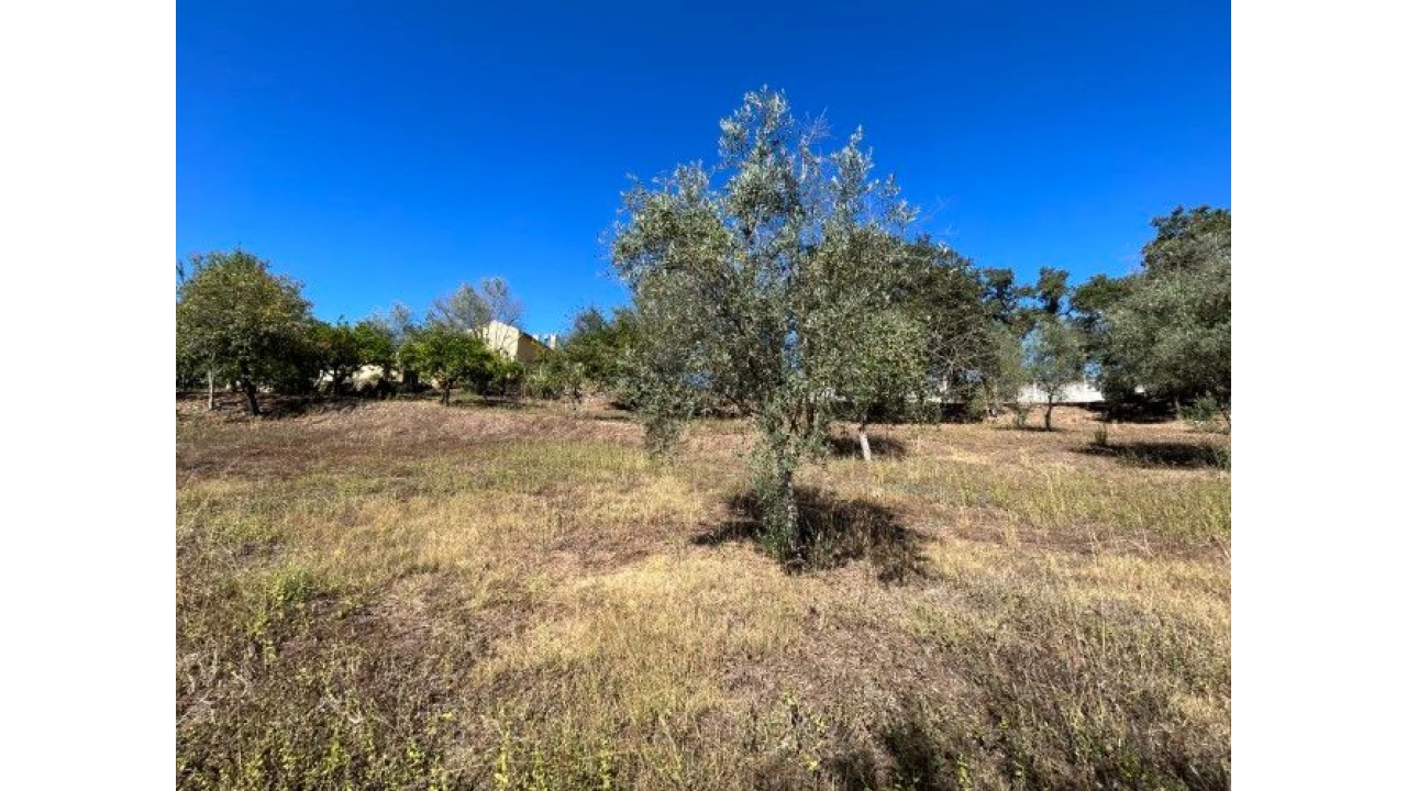 Moradia T4 para Venda em Abiul Foto 31