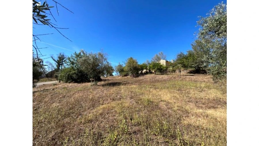 Moradia T4 para Venda em Abiul Foto 30