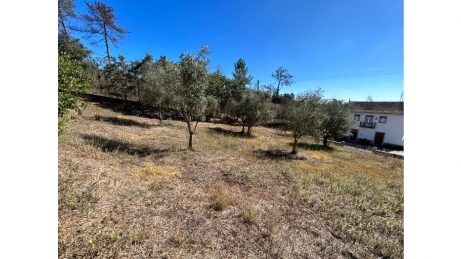 Moradia T4 para Venda em Abiul Foto 29