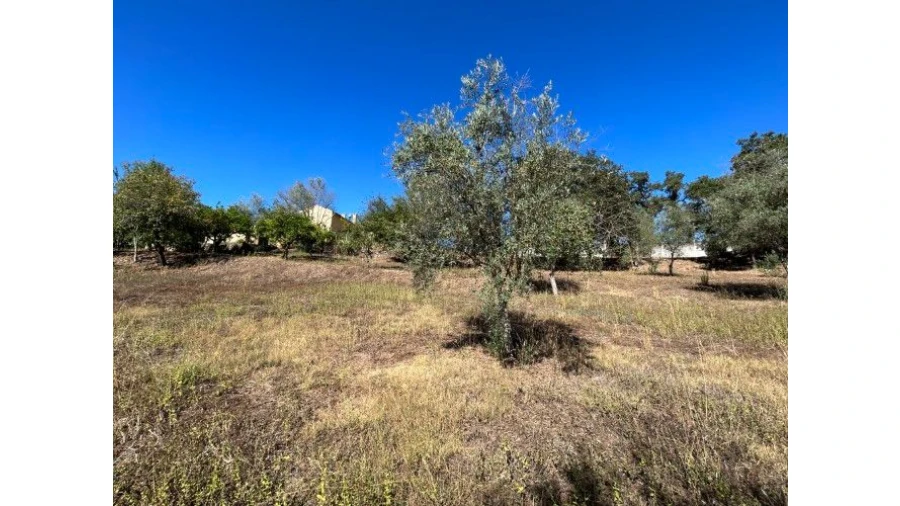 Moradia T4 para Venda em Abiul Foto 31