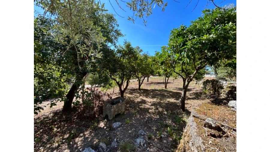 Moradia T4 para Venda em Abiul Foto 33