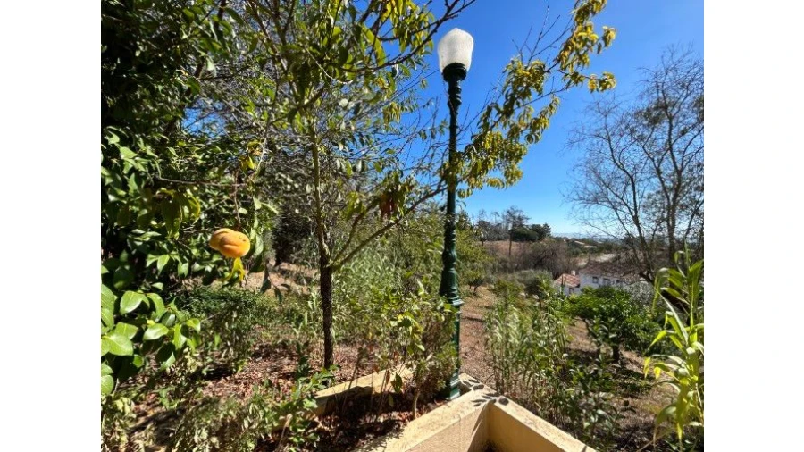 Moradia T4 para Venda em Abiul Foto 39