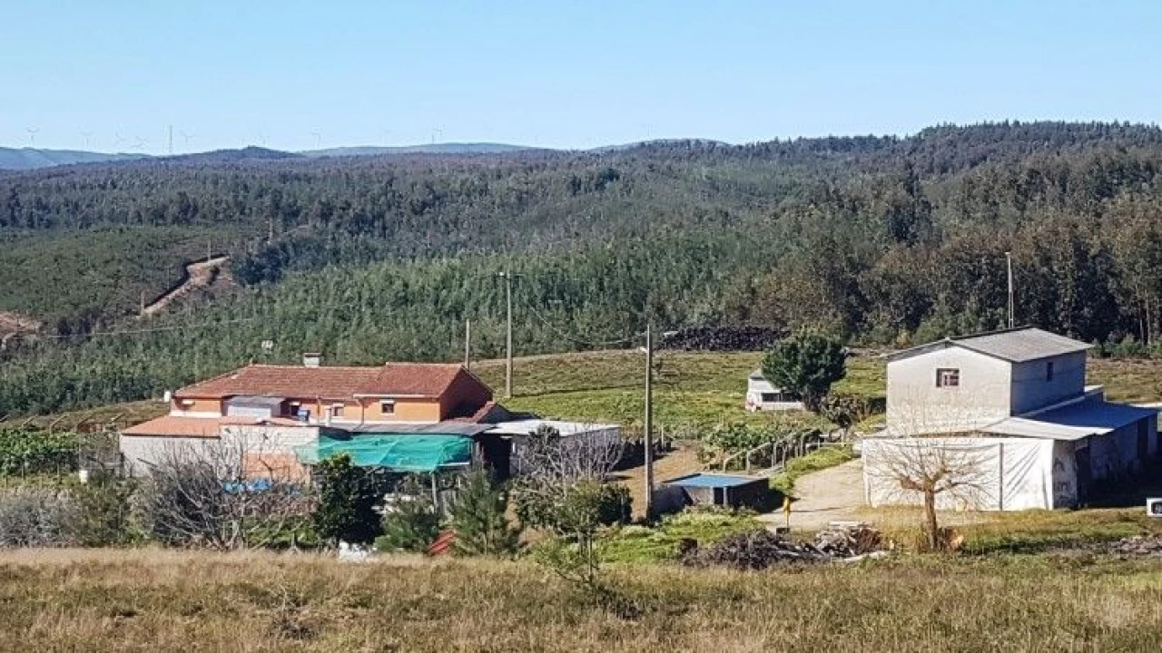 Quinta T4 para Venda em Salgueirinha Foto 1