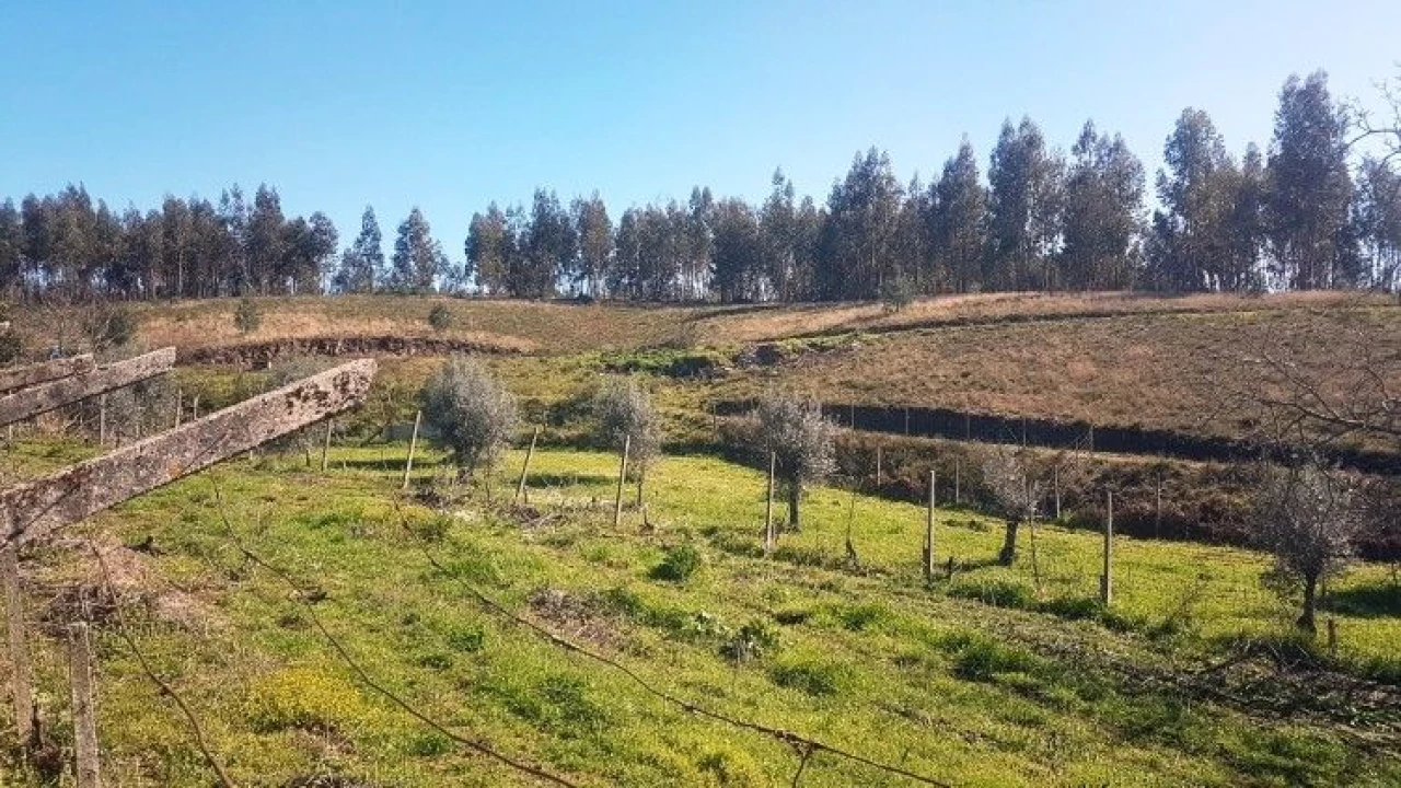 Quinta T4 para Venda em Salgueirinha Foto 24