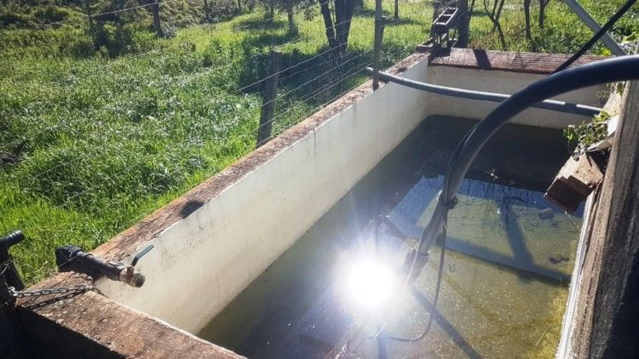 Quinta T4 para Venda em Salgueirinha Foto 27