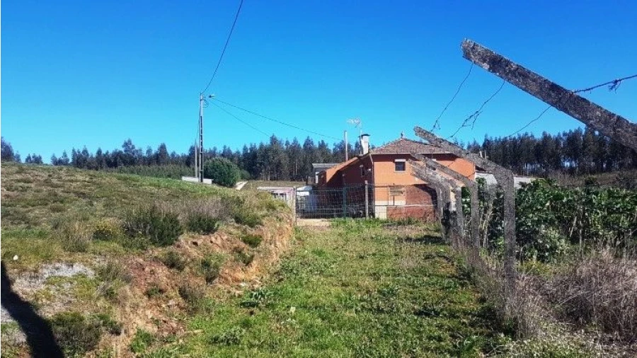 Quinta T4 para Venda em Salgueirinha Foto 5