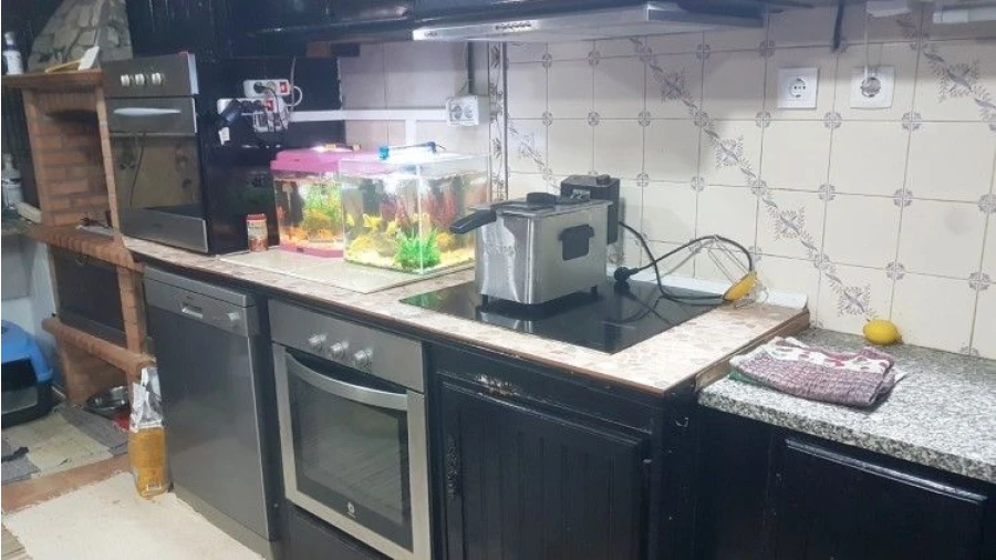 Quinta T4 para Venda em Salgueirinha Foto 9