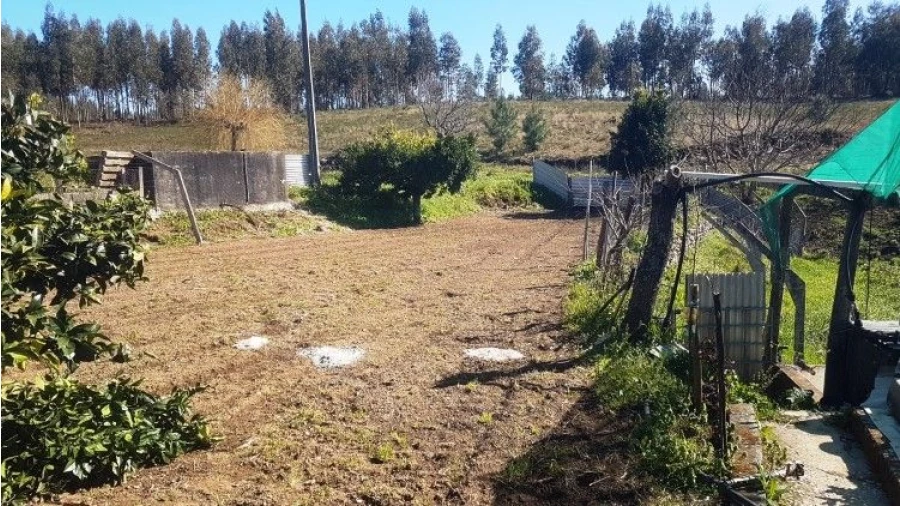 Quinta T4 para Venda em Salgueirinha Foto 23