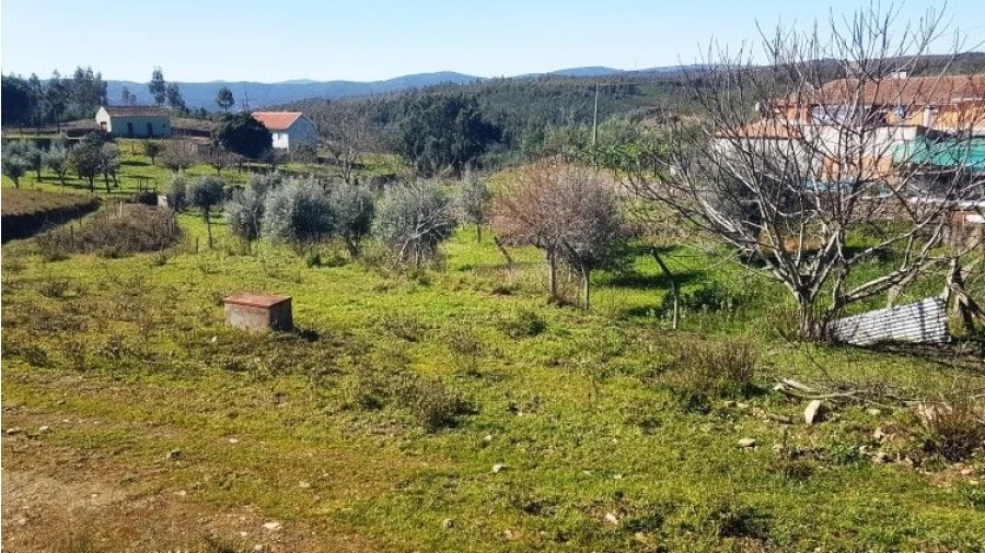 Quinta T4 para Venda em Salgueirinha Foto 25