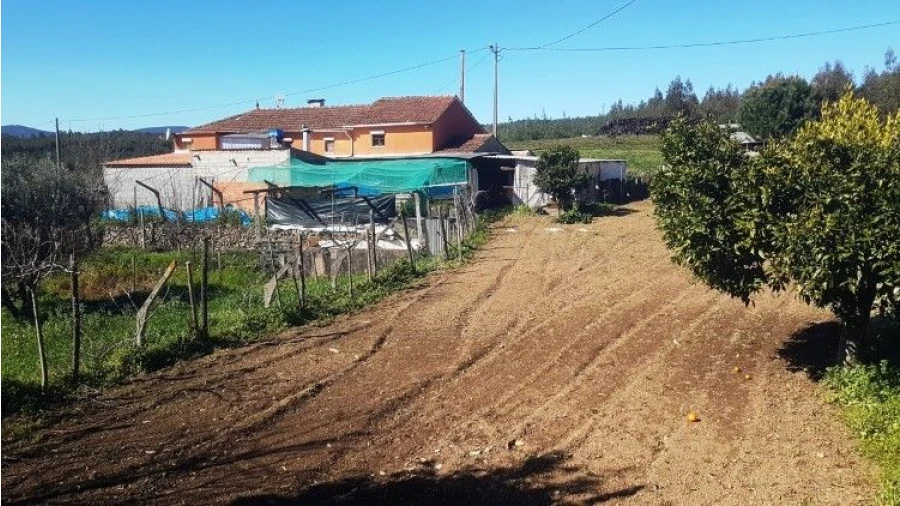 Quinta T4 para Venda em Salgueirinha Foto 29