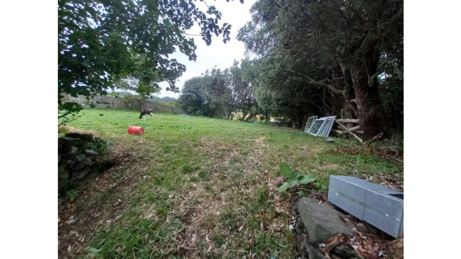 Terreno P/ Moradia para Venda em São Vicente Ferreira Foto 3