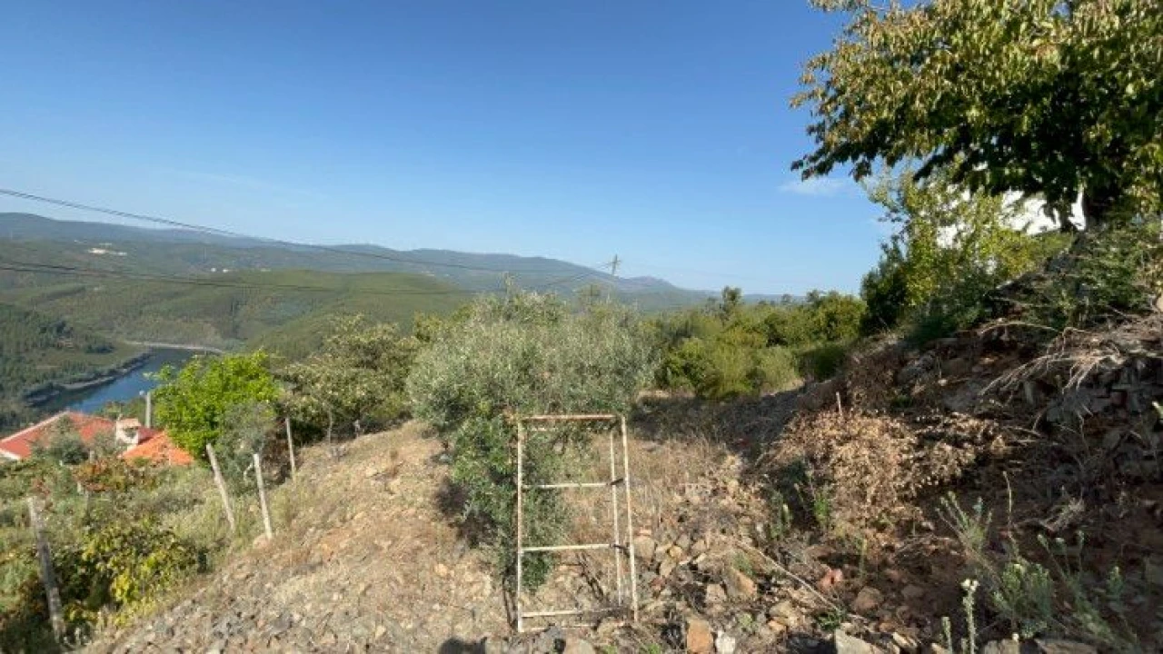 Terreno P/ Moradia para Venda em Amoreira Cimeira Foto 4